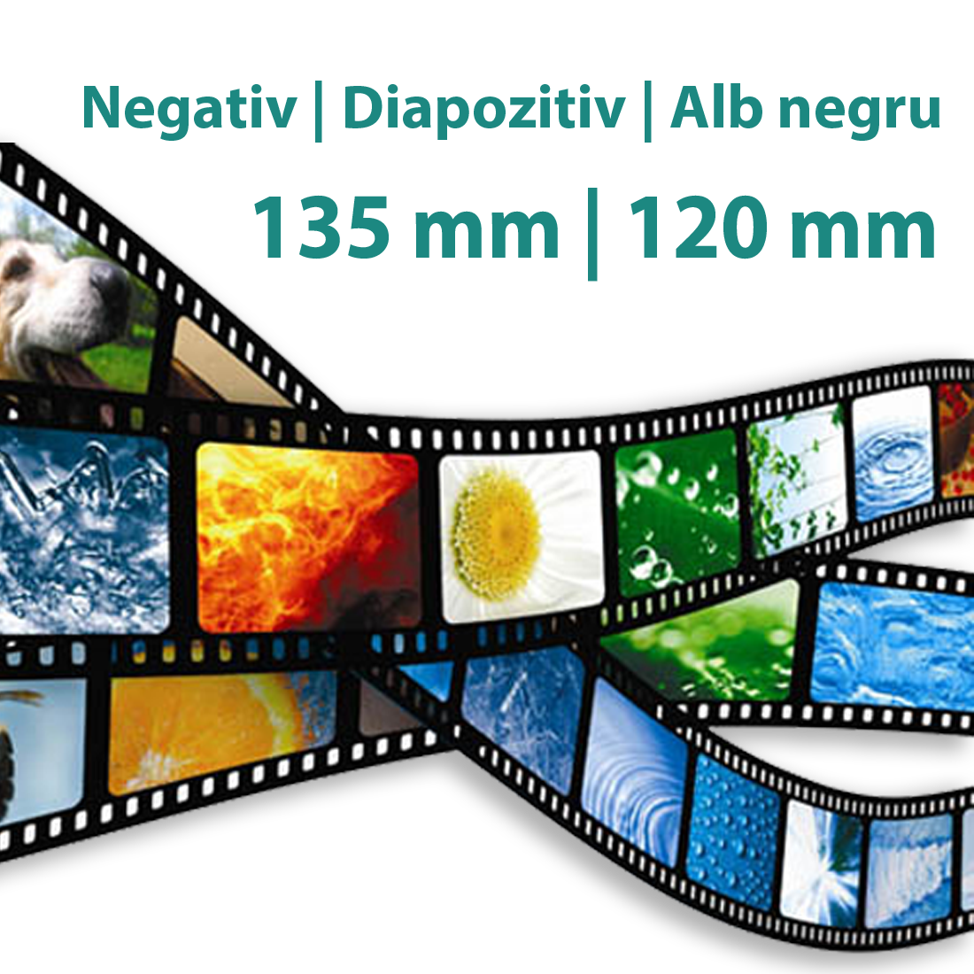 Developare filme